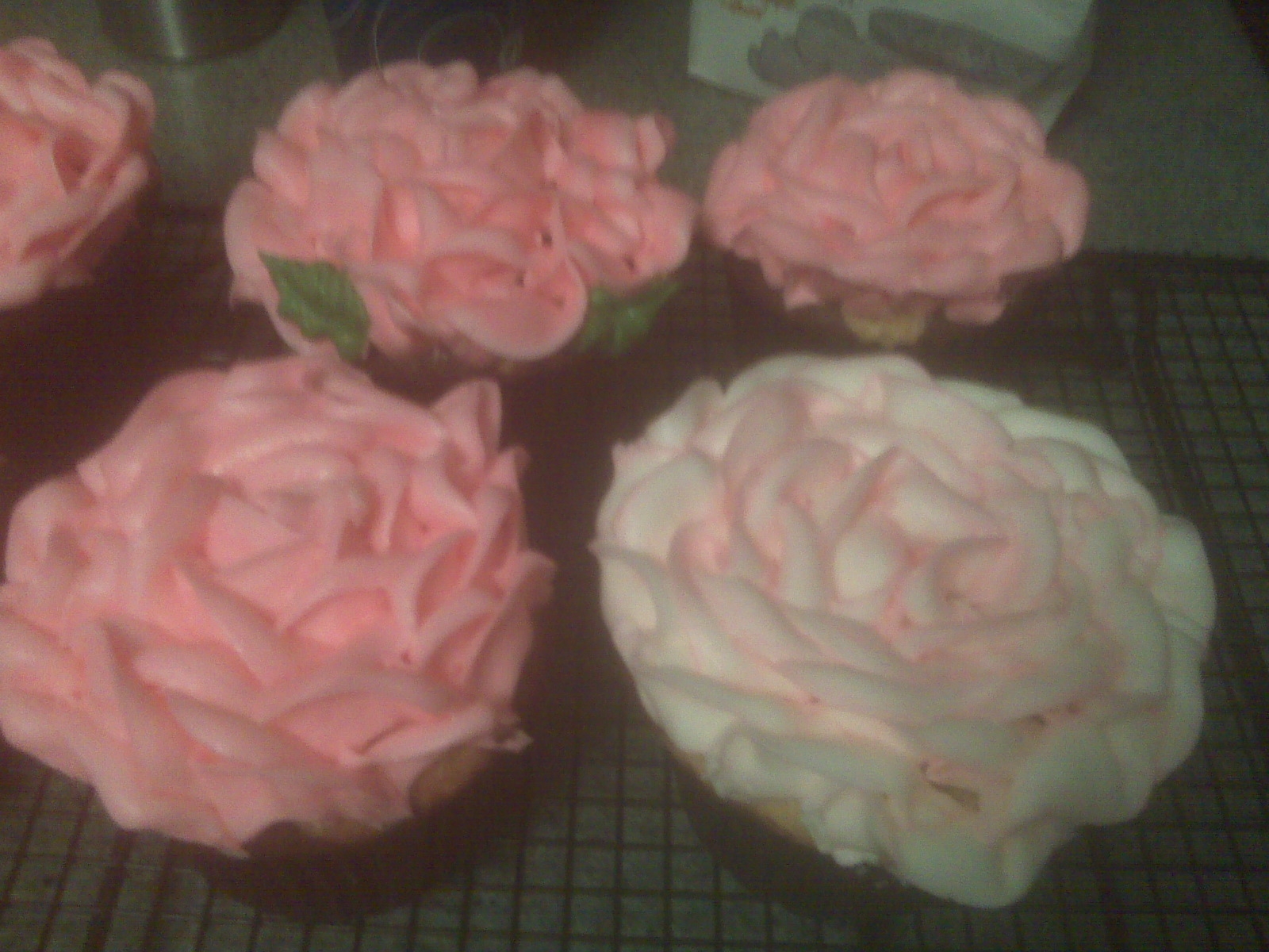 rosecupcakes.jpg